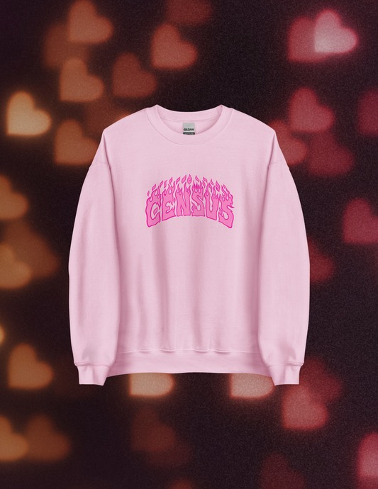 Census Pink Flames Sweatshirt